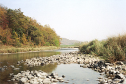 Corbett National Park