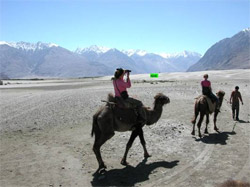 Sand Dunes Of Ladakh