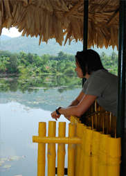 Thattekad Birds Lagoon