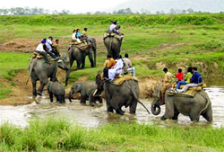 Kaziranga National Park