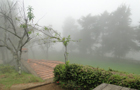 Kodaikanal Mist Covered Mistycove