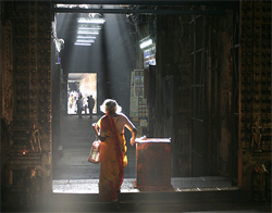 Meenakshi Temple, Madurai