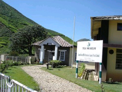 Munnar Tea Museum