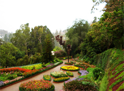 Ooty Botanical Garden