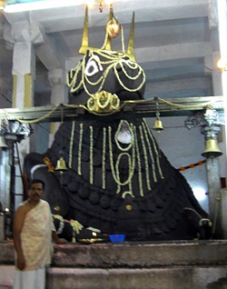 Bull Temple, Bangalore