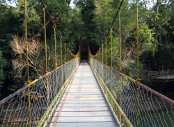 Cauvery Nisarga Dhama, Coorg